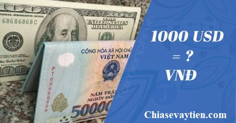 100 Đô la bằng bao nhiêu tiền Việt Nam? Cập nhập mới nhất 2022