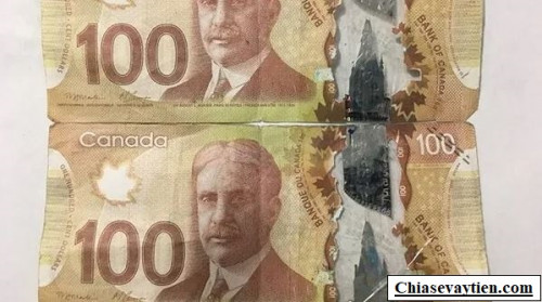 1 CAD to VND : 1 đô Canada bằng bao nhiêu tiền Việt mới nhất ngày 29/03/2023