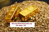 Giá vàng 18k, 24k Bình Dương Hôm Nay bao nhiêu 1 chỉ tháng 10/2024