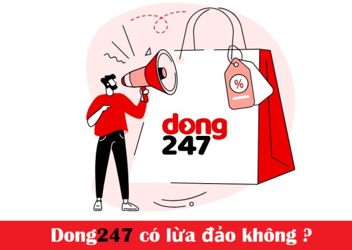 Web vay tiền Dong247 có bị lừa đảo hay không