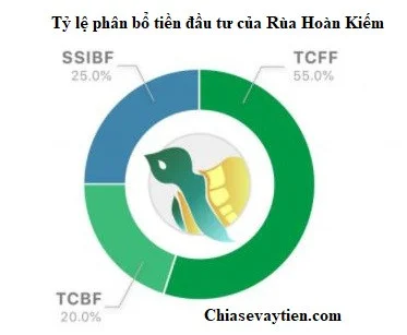 Phân bổ tỷ lệ đầu tư của Rùa Hoàn Kiếm